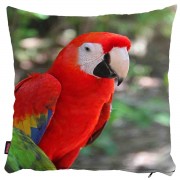 Papağan Yastık Kılıfı